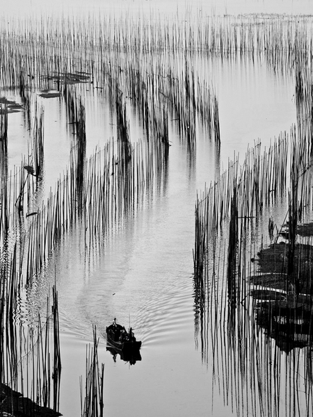 880 - GLIDING IN THE INK PAINTING - ZHOU LIWEI - china.jpg
